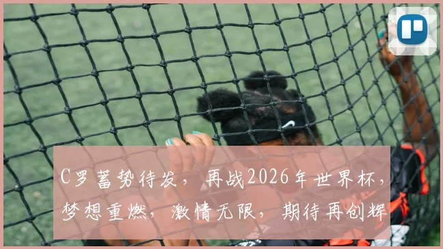 C罗蓄势待发，再战2026年世界杯，梦想重燃，激情无限，期待再创辉煌