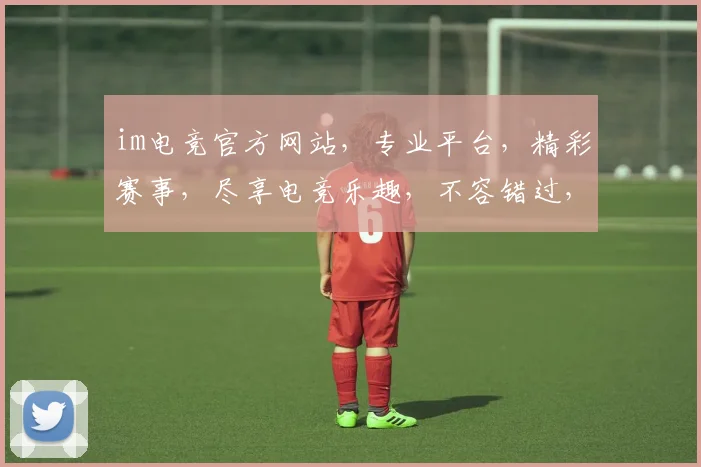 im电竞官方网站，专业平台，精彩赛事，尽享电竞乐趣，不容错过，快来体验