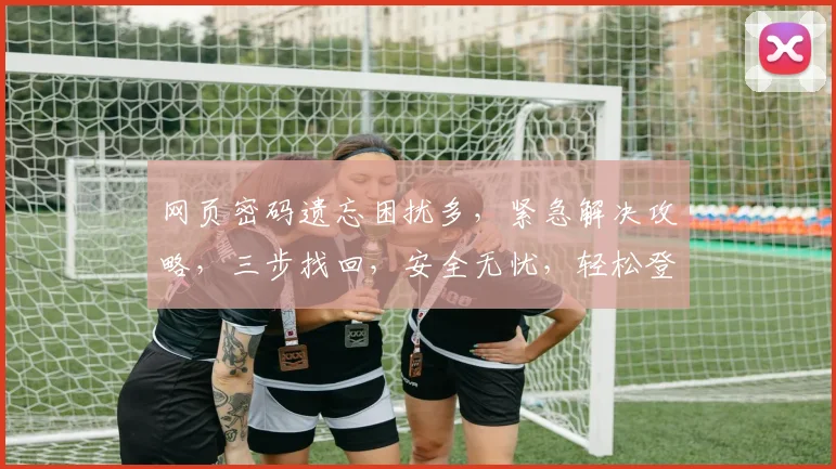 网页密码遗忘困扰多，紧急解决攻略，三步找回，安全无忧，轻松登录成功