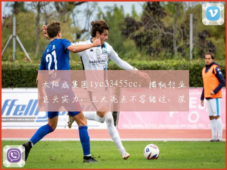 太阳成集团tyc33455cc，揭秘行业巨头实力，三大亮点不容错过，深度解析