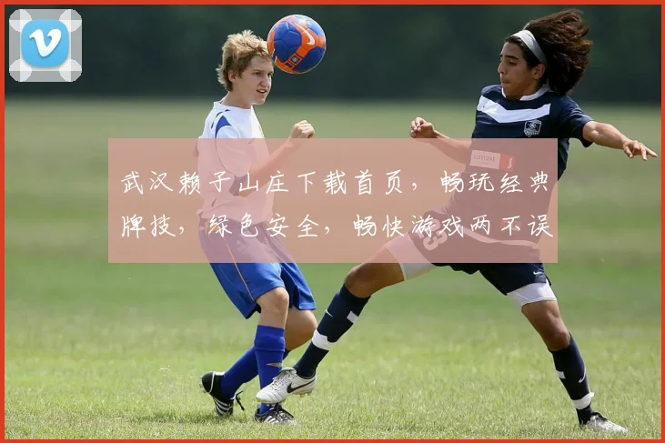 武汉赖子山庄下载首页，畅玩经典牌技，绿色安全，畅快游戏两不误